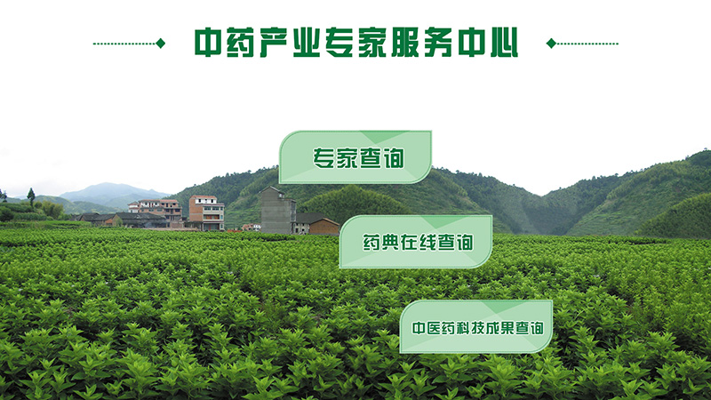 中藥專家中心